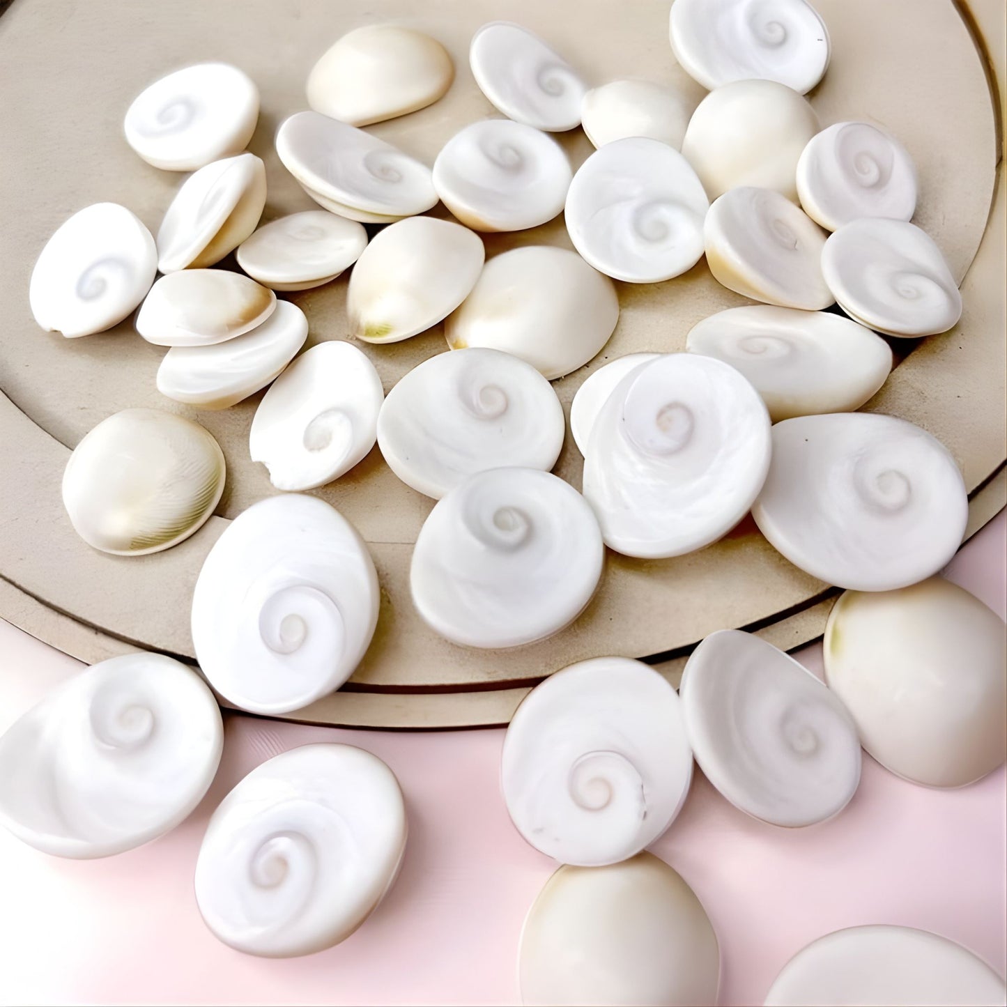 Shri Gomati Chakra for Pooja/Dhan Lakshmi Gomathi Chakra