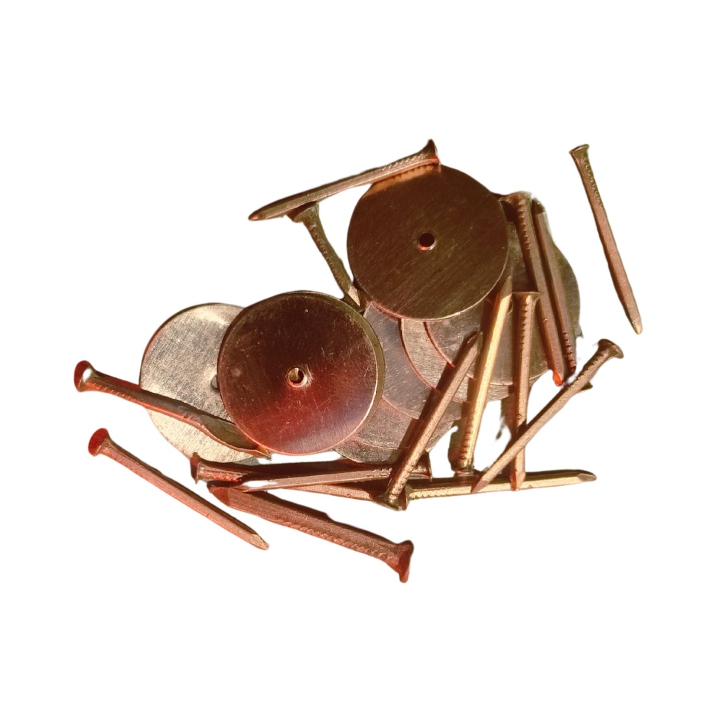 Vastu Copper Nails & Energy Discs