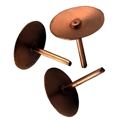 Vastu Copper Nails & Energy Discs