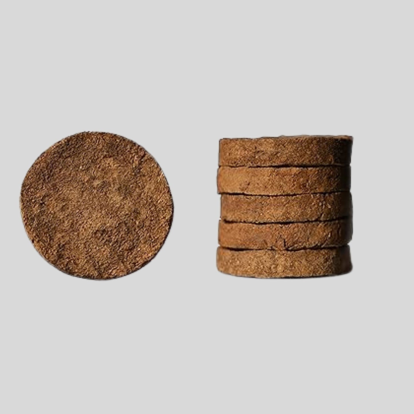 Cow Dung Cakes