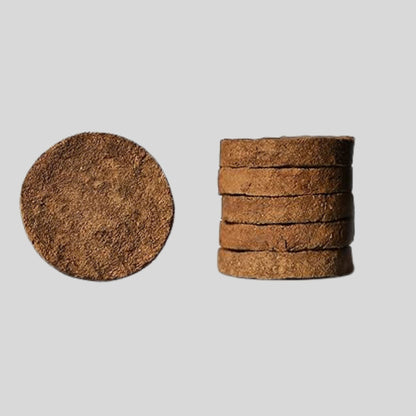 Cow Dung Cakes