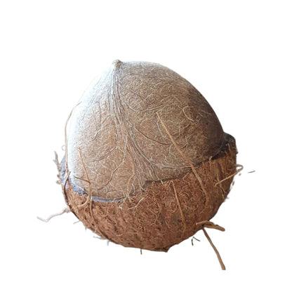 Dried Coconut/Kopra